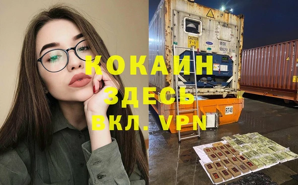 индика Богородицк