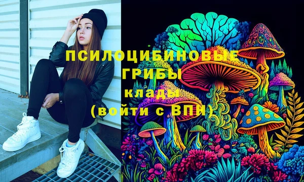 индика Богородицк