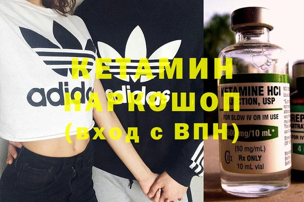 индика Богородицк