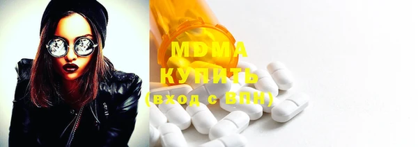 индика Богородицк