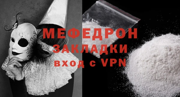 индика Богородицк