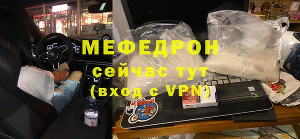 индика Богородицк